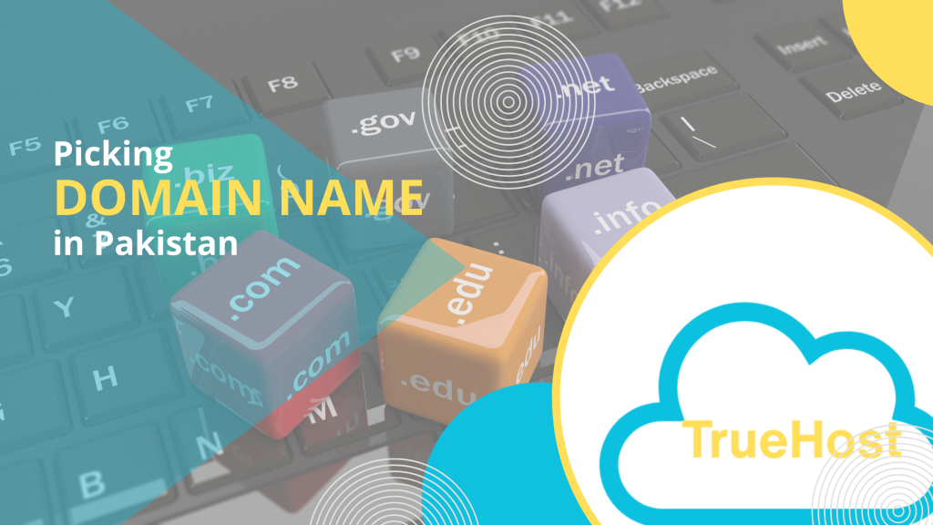 Blog banner with the title pick domain name in pakistan, the truehost logo and cubes with different domain extentions.