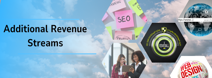 Apart from reseller hostin, the graphic shows other additional revenue streams a reseller can tap in, including ssl, digital marketing, web design and ssl certificates.