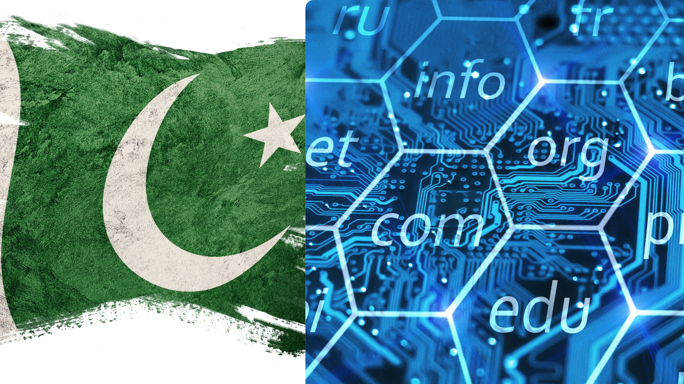 the pakistan flag and domains in a hexagon