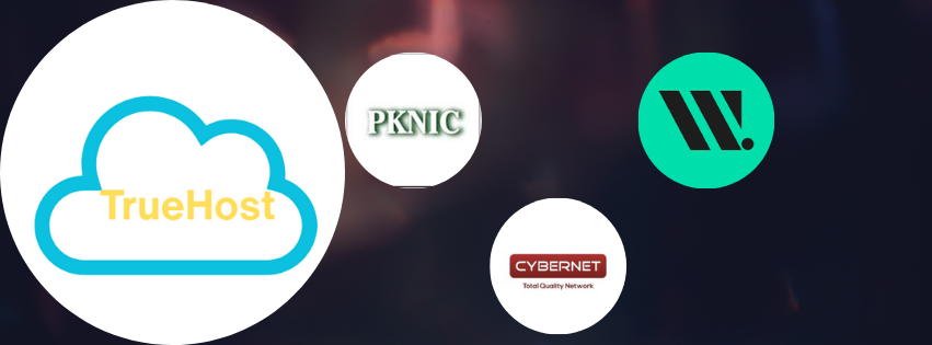 shows the four main providers of domain registration in pakistan, truehost, pknic, cybernet and websoul
