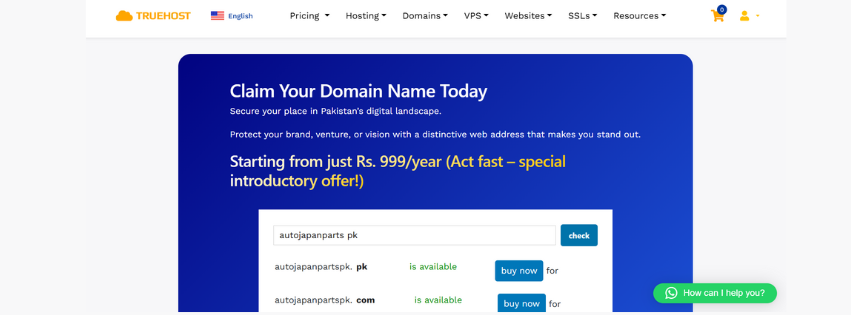 A screenshot of the domain search page