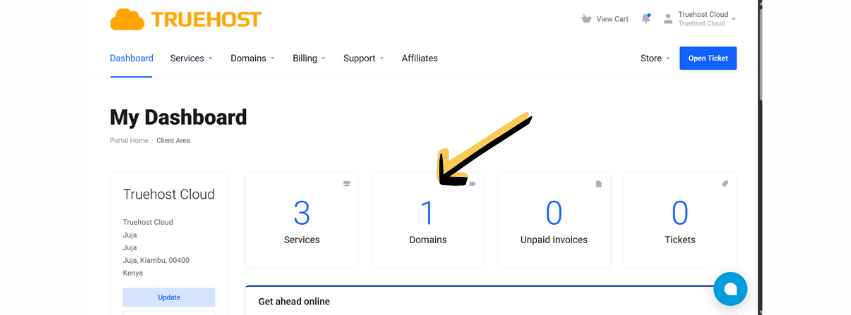 A screenshot of the client area and the domain section highlighted to show the domains you have