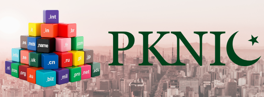 the PKNIC logo and a pyramid stack of different domain extensions