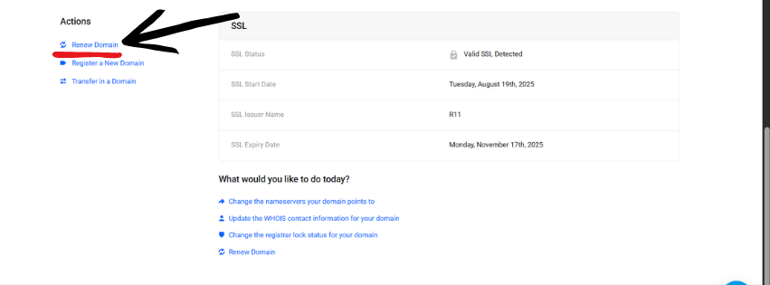A screenshot of the renewal of domain secton