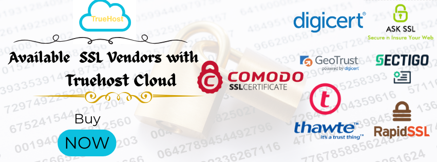 Available ssl vendors available at Truehost Pakistan to start your google ranking goals started