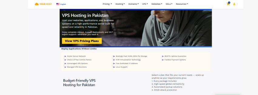 the screenshot of truehost vps page