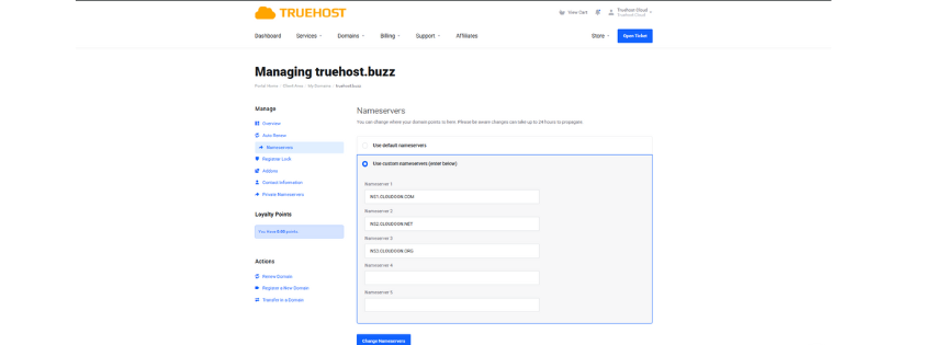 the truehost nameserver management section in your account
