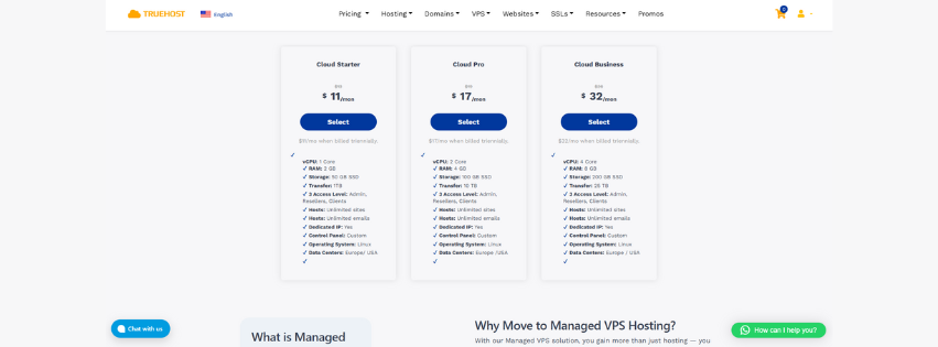 three of the vps hosting plans with truehost pk