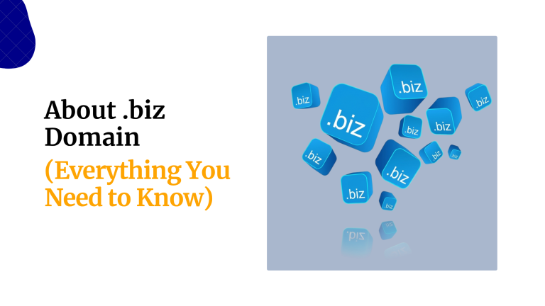 About .biz Domain (Everything You Need to Know)