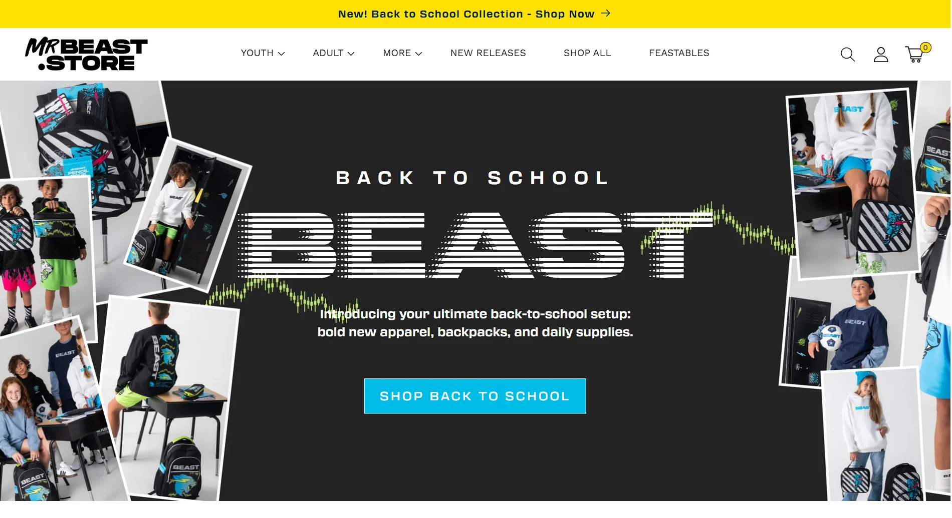 About .store domain- mr beast.store