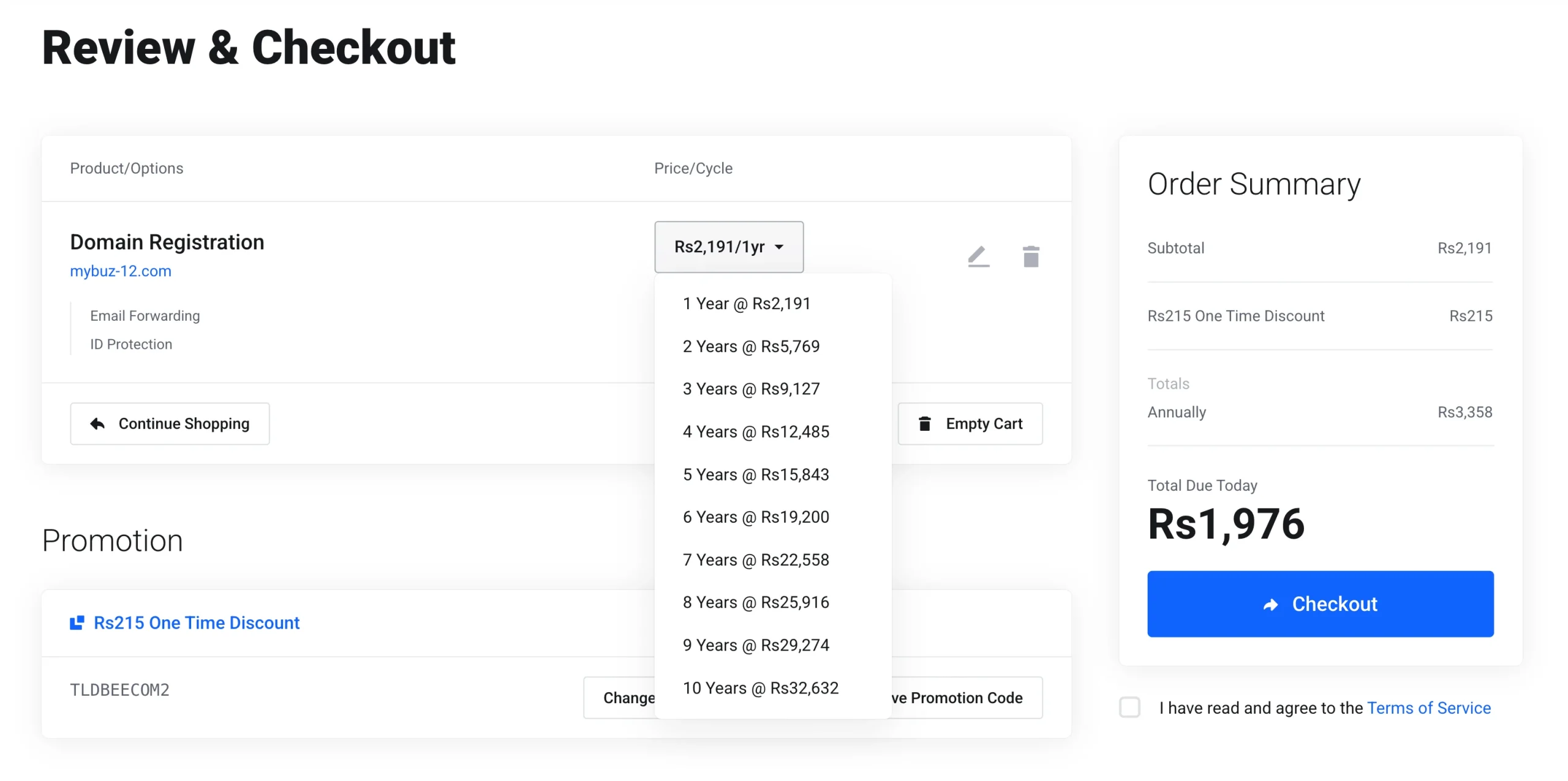 Buy a Domain Name: Review and Checkout