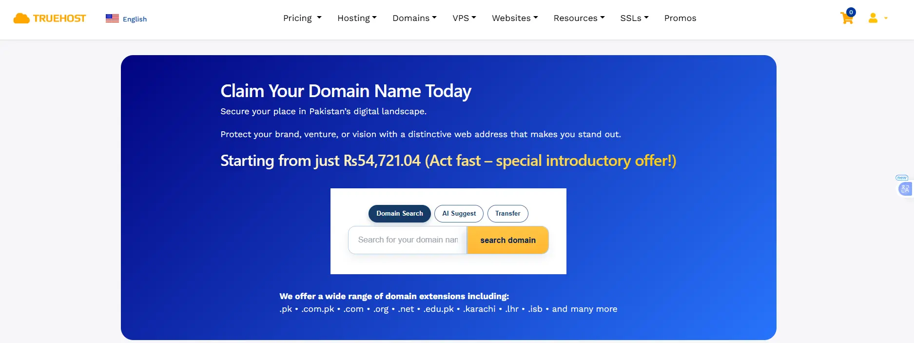 Buying Domain for Your Portfolio Website