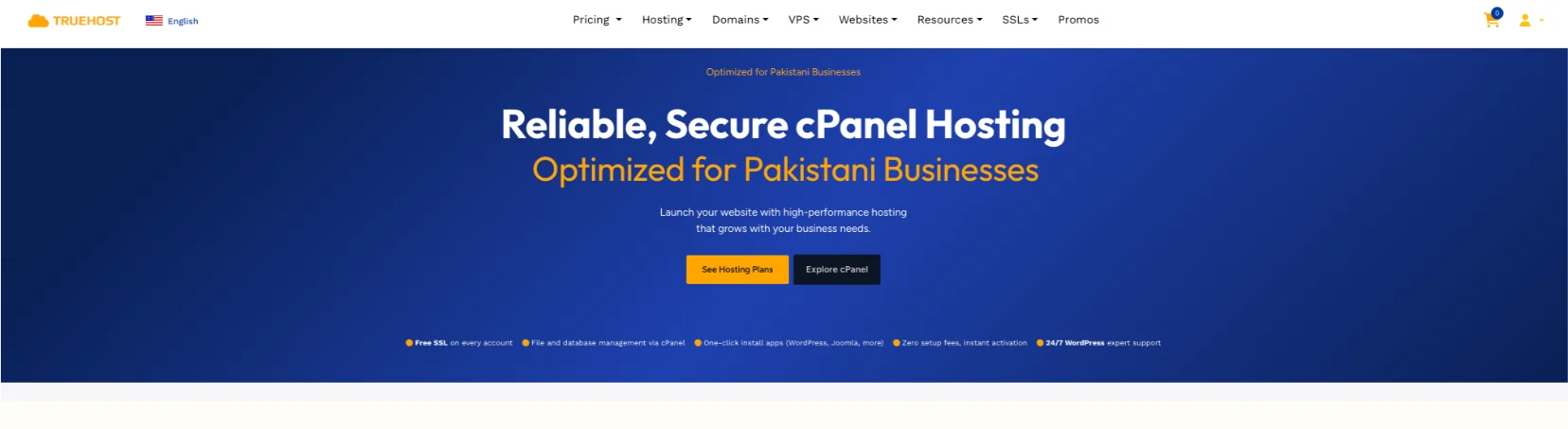 Domain Name to Shopify in cPanel