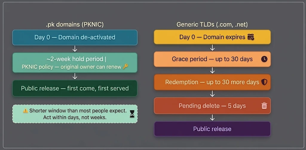 What Happens When a Domain Name Expires: PKNIC