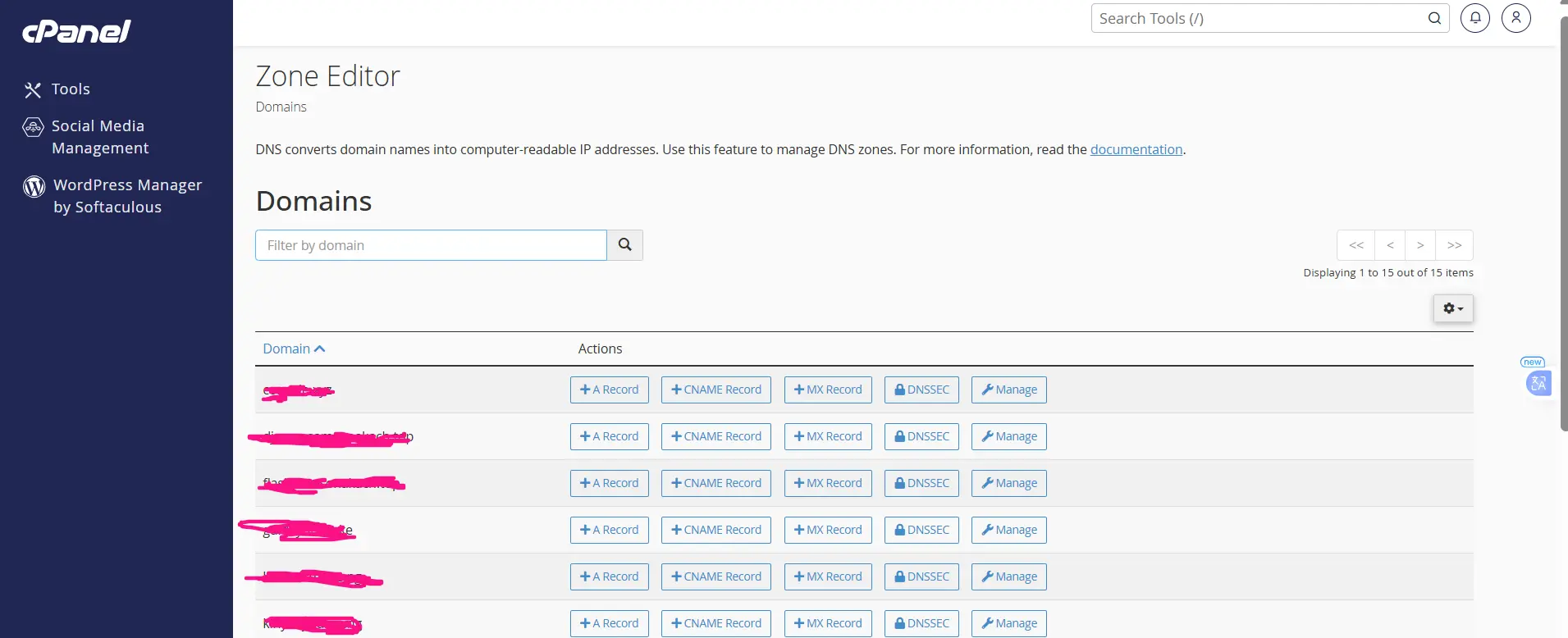 cPanel Domain Management Tips