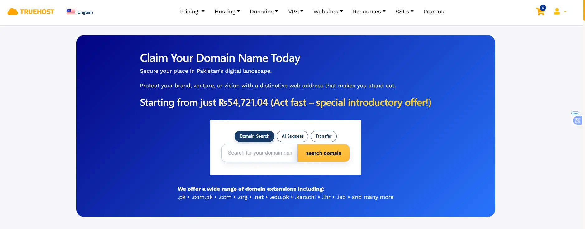 .pro domain