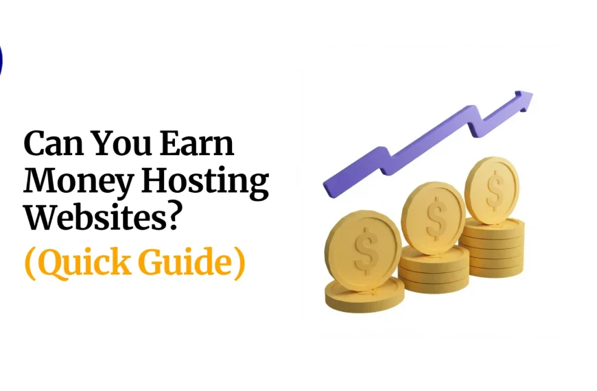 Can You Earn Money Hosting Websites
