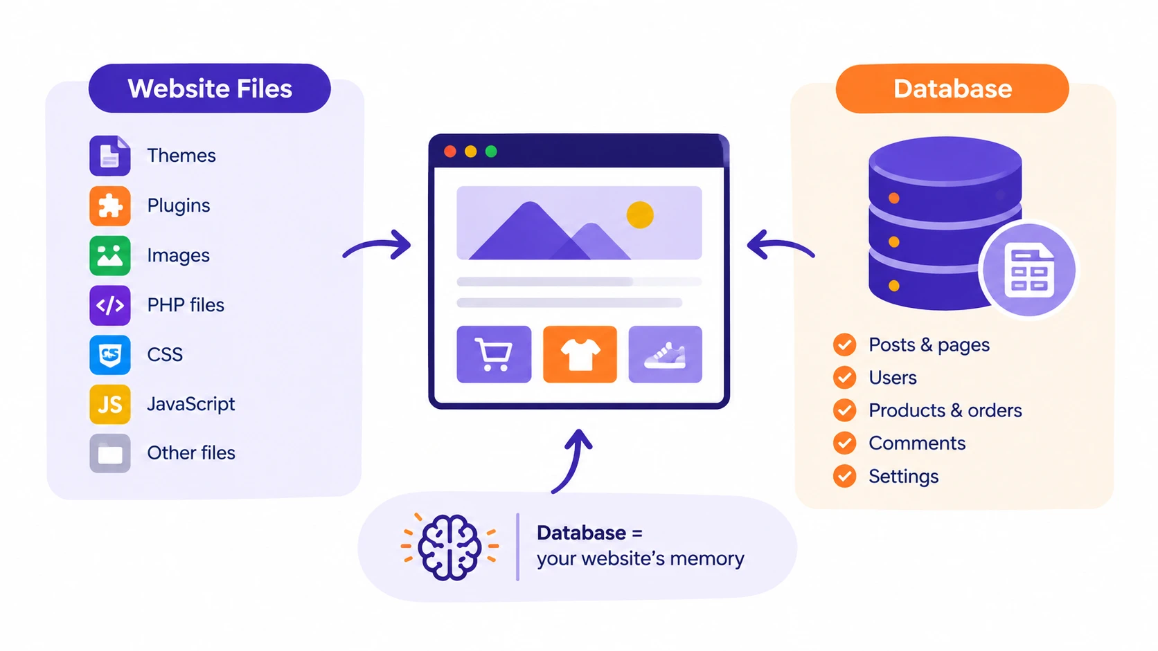 Databases in Web Hosting: Website Component