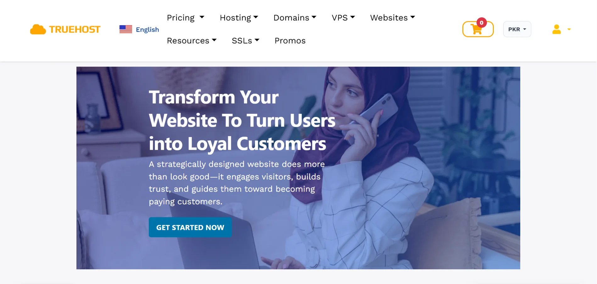 How to Choose a Web Design Company- Truehost