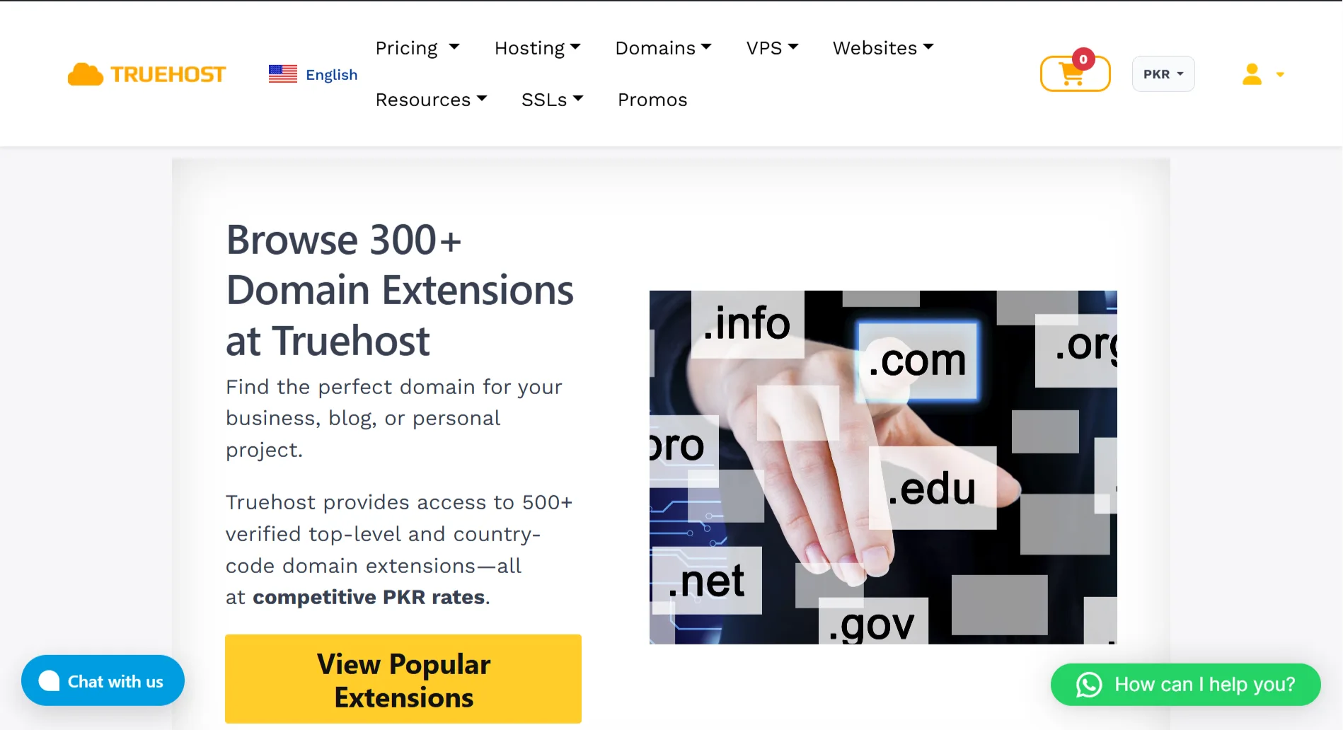 Types of Web Hosting Tools - Truehost domains