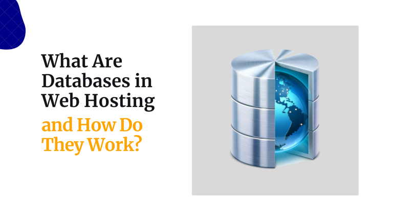 What Are Databases in Web Hosting and How Do They Work?