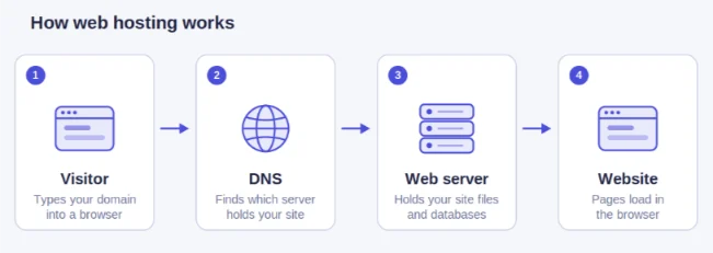 How web hosting works: a visitor types a domain, DNS finds the server, and the web server delivers the website
