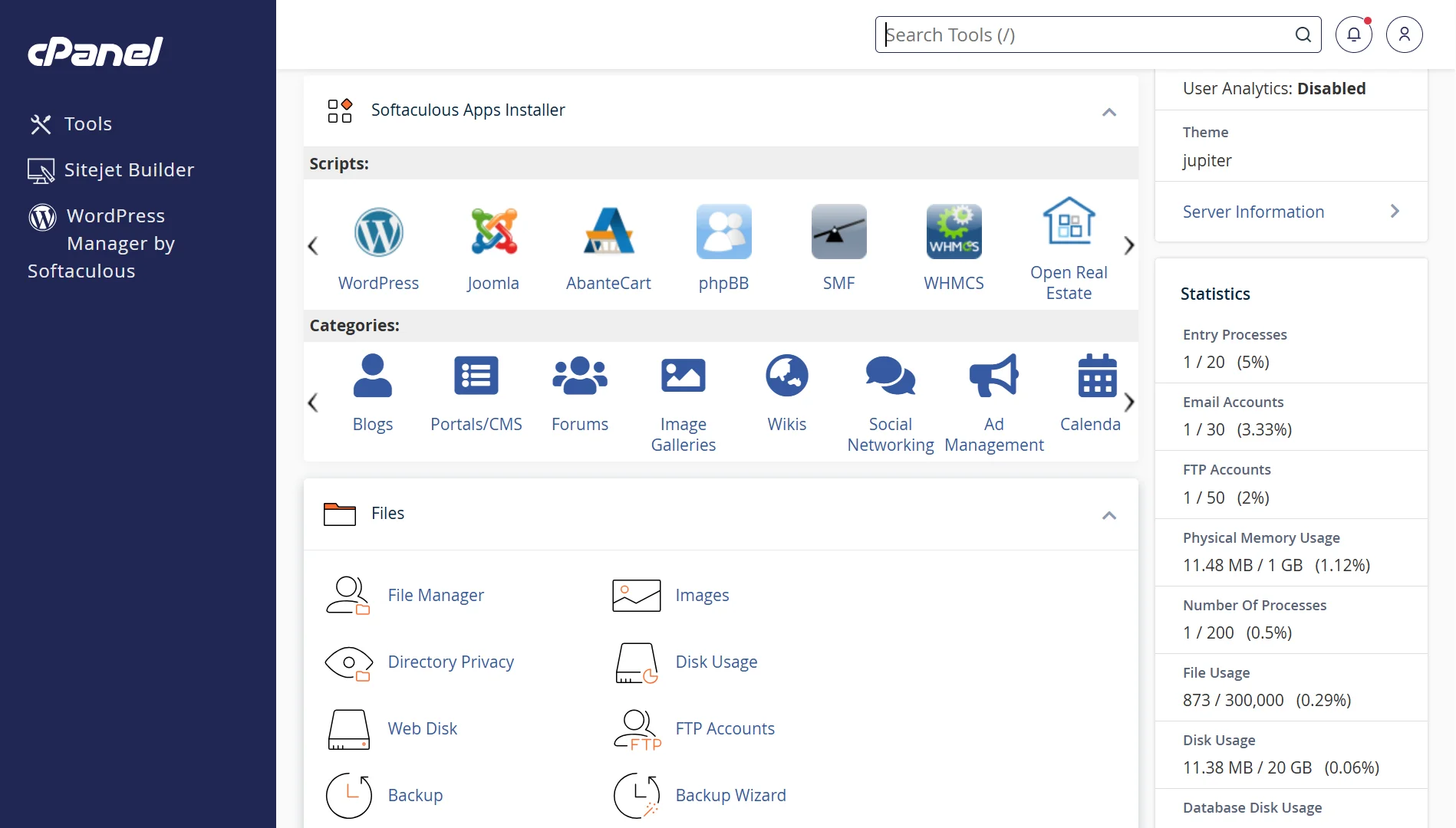 Host a WordPress Website on cPanel
