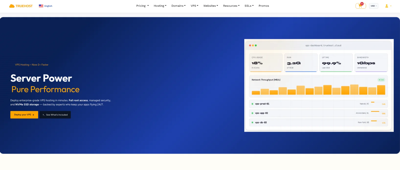 Image of Truehost VPS hosting